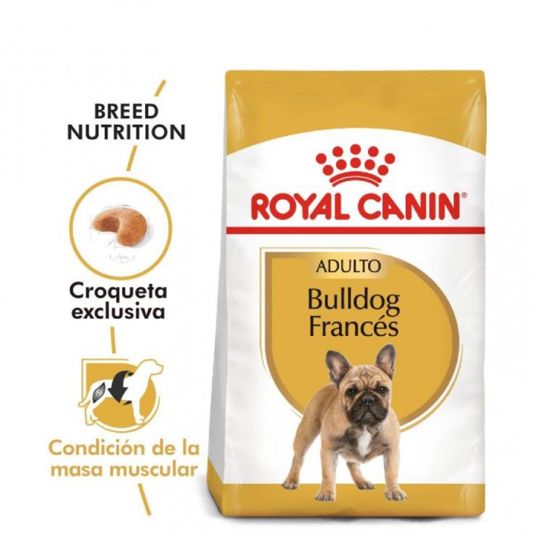 bulldog-frances-ad-75-kg