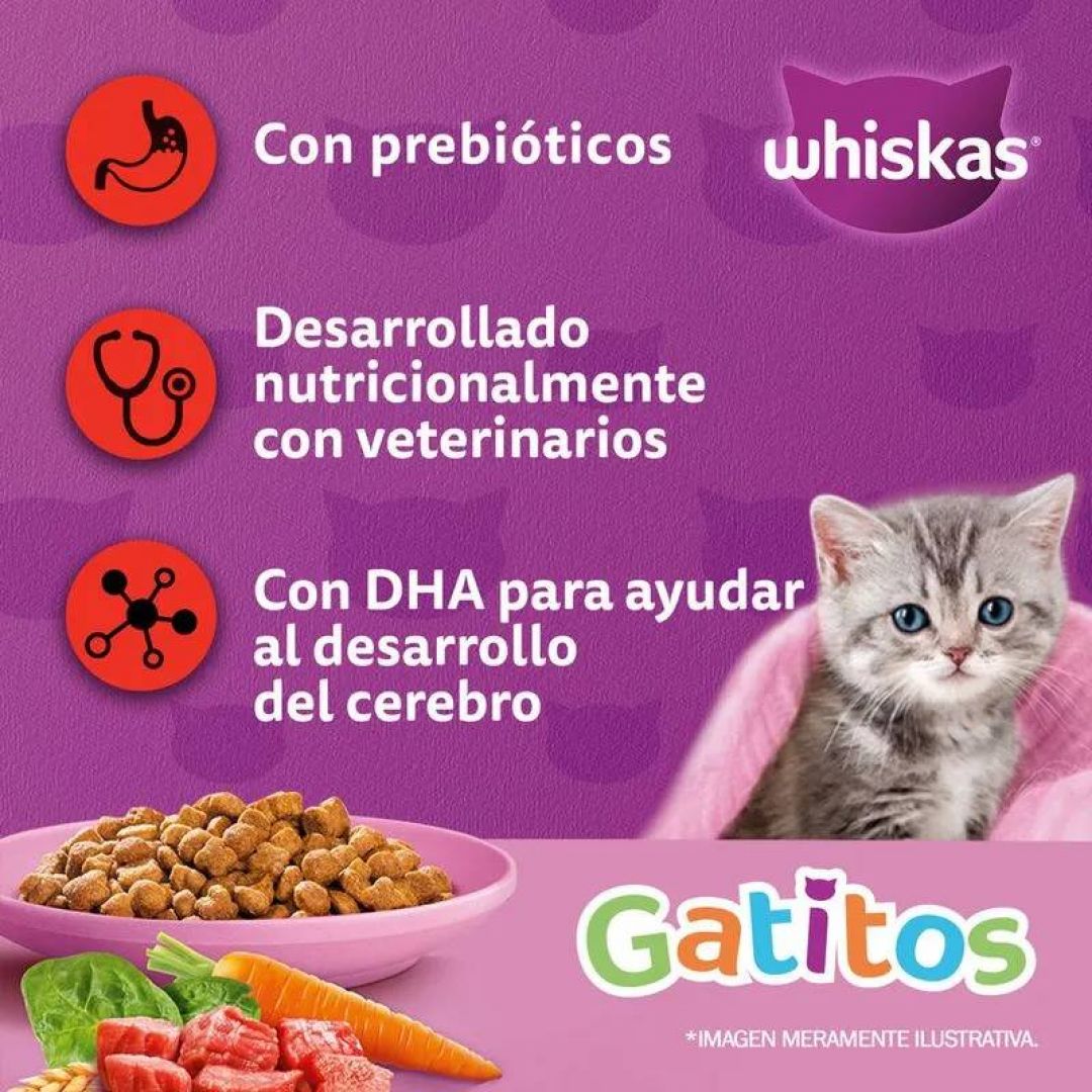 whiskas-gatitos-10-kg
