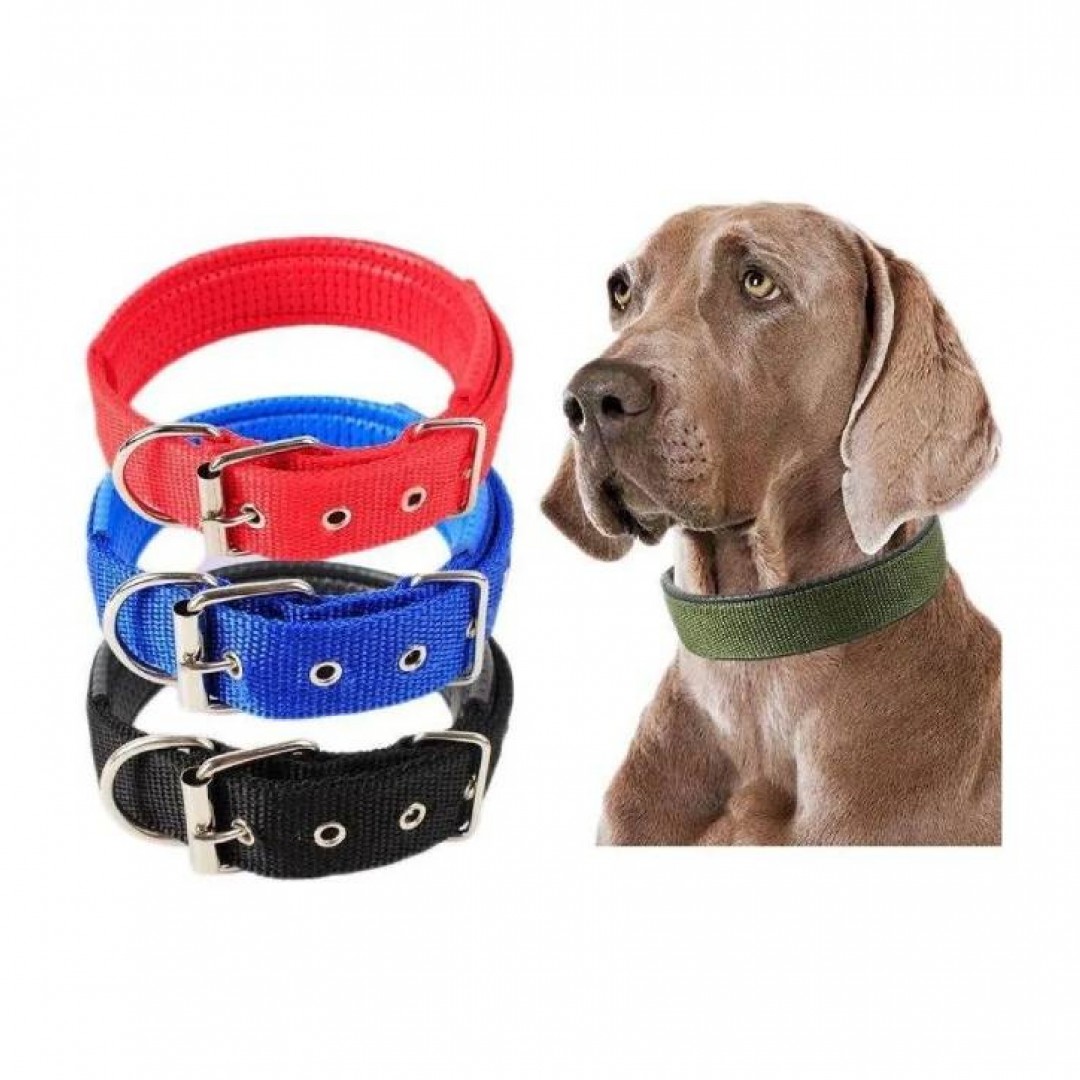 collar-ppp-liso-16x35
