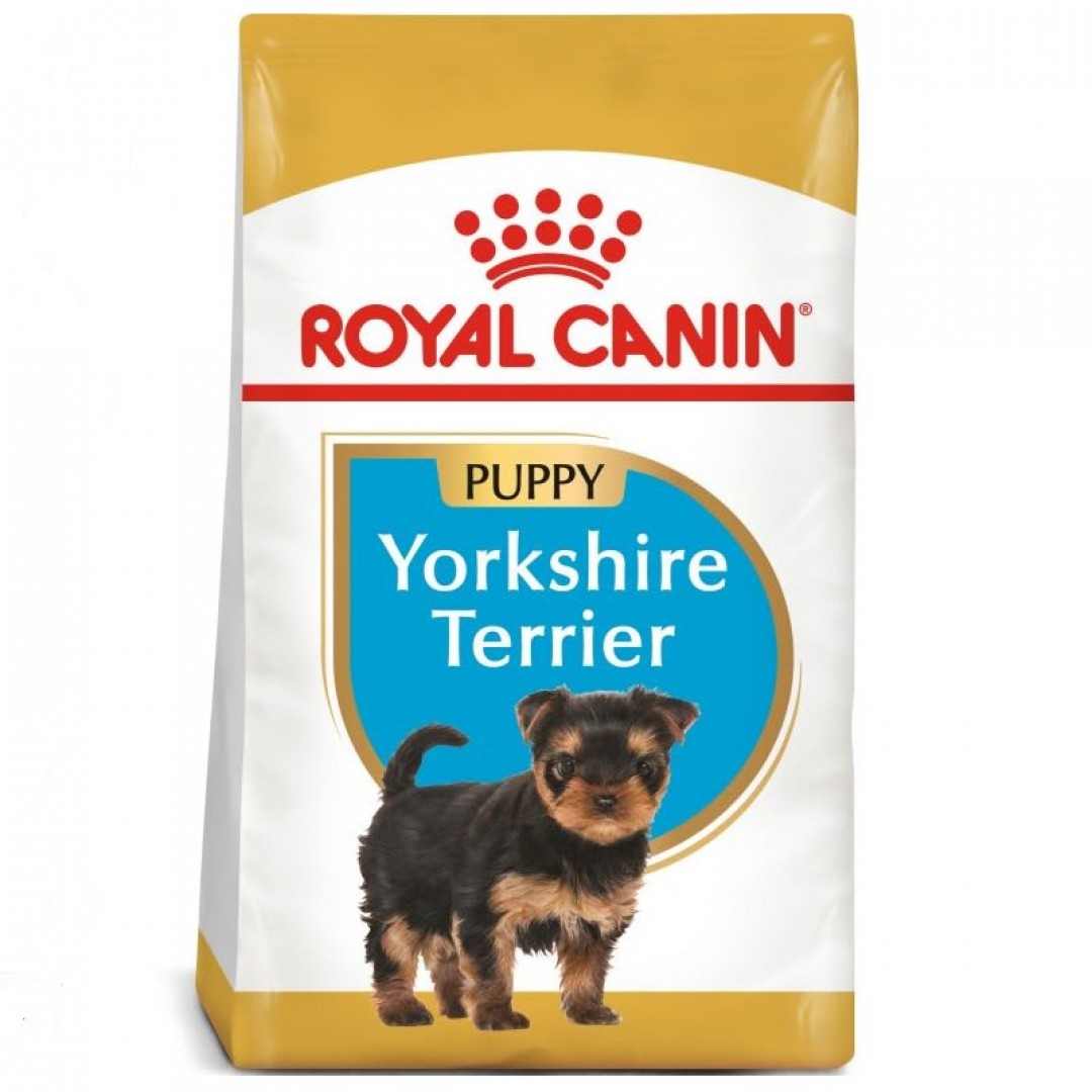 yorkshire-jr-3-kg