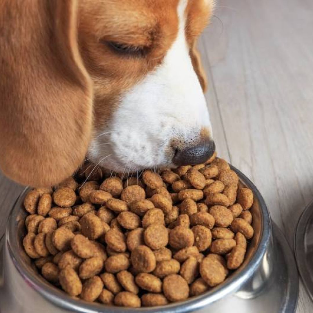 ff-dogpro-adulto-x-1-kg