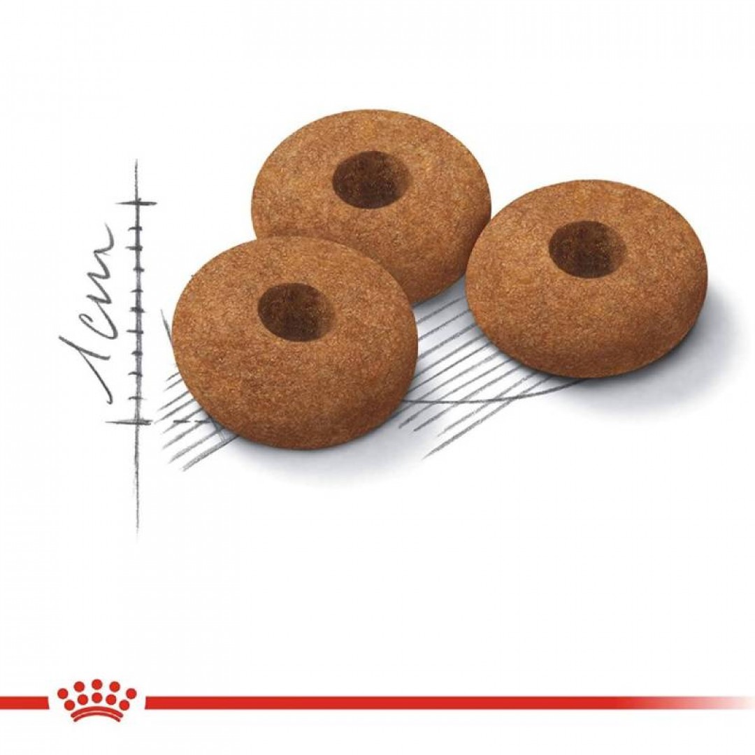 ff-fit-x-1-kg