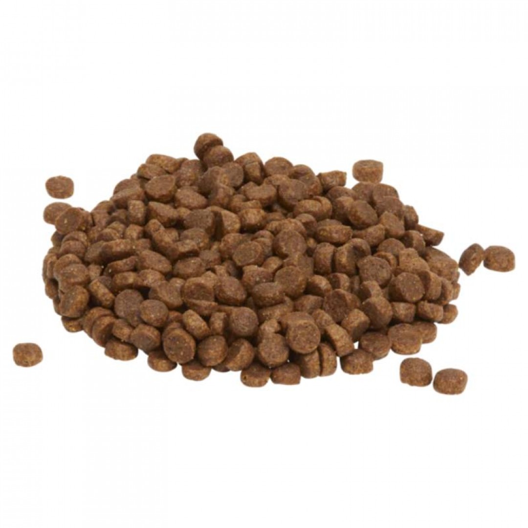 ff-iams-ad-sb-x-1-kg