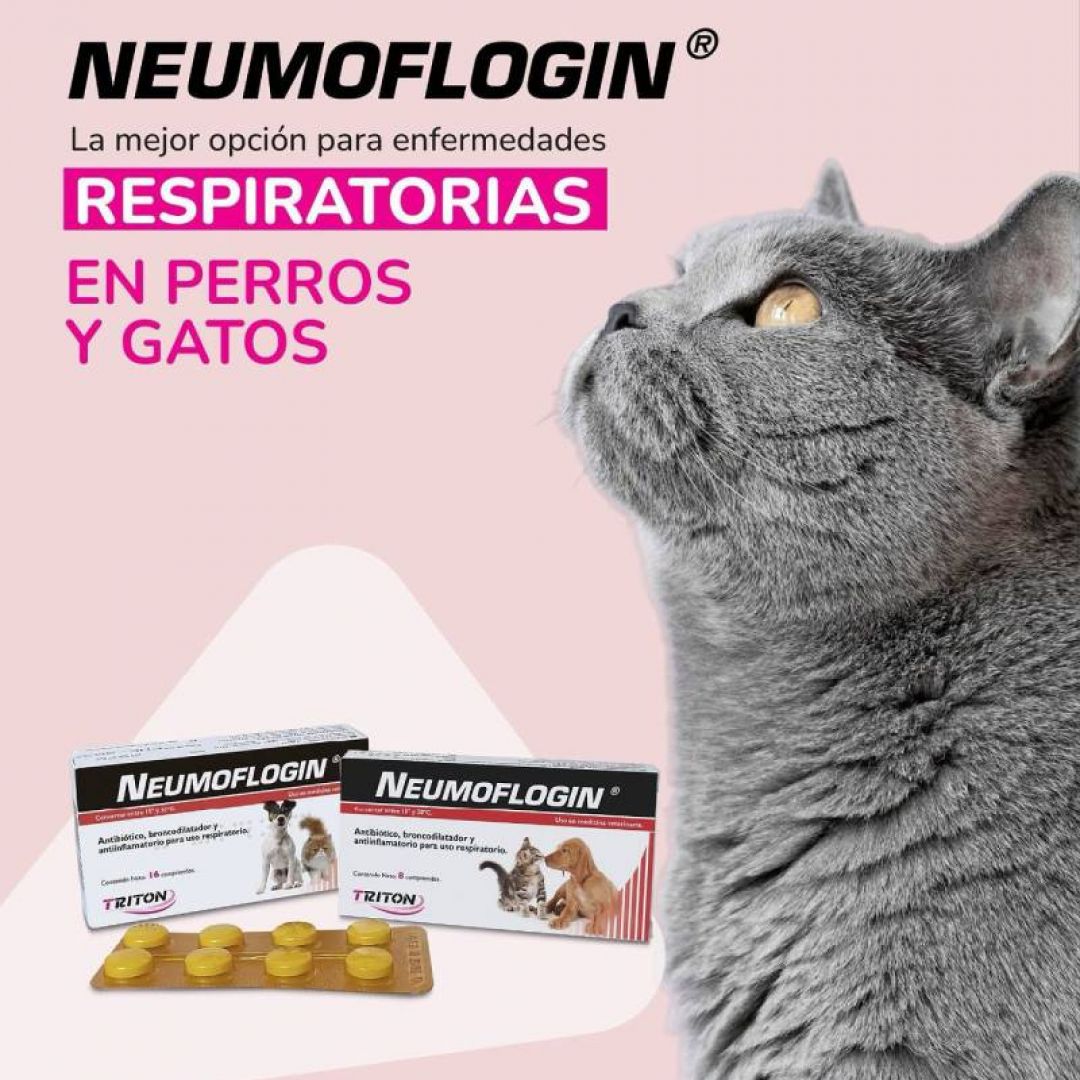 neumoflogin-x-blister