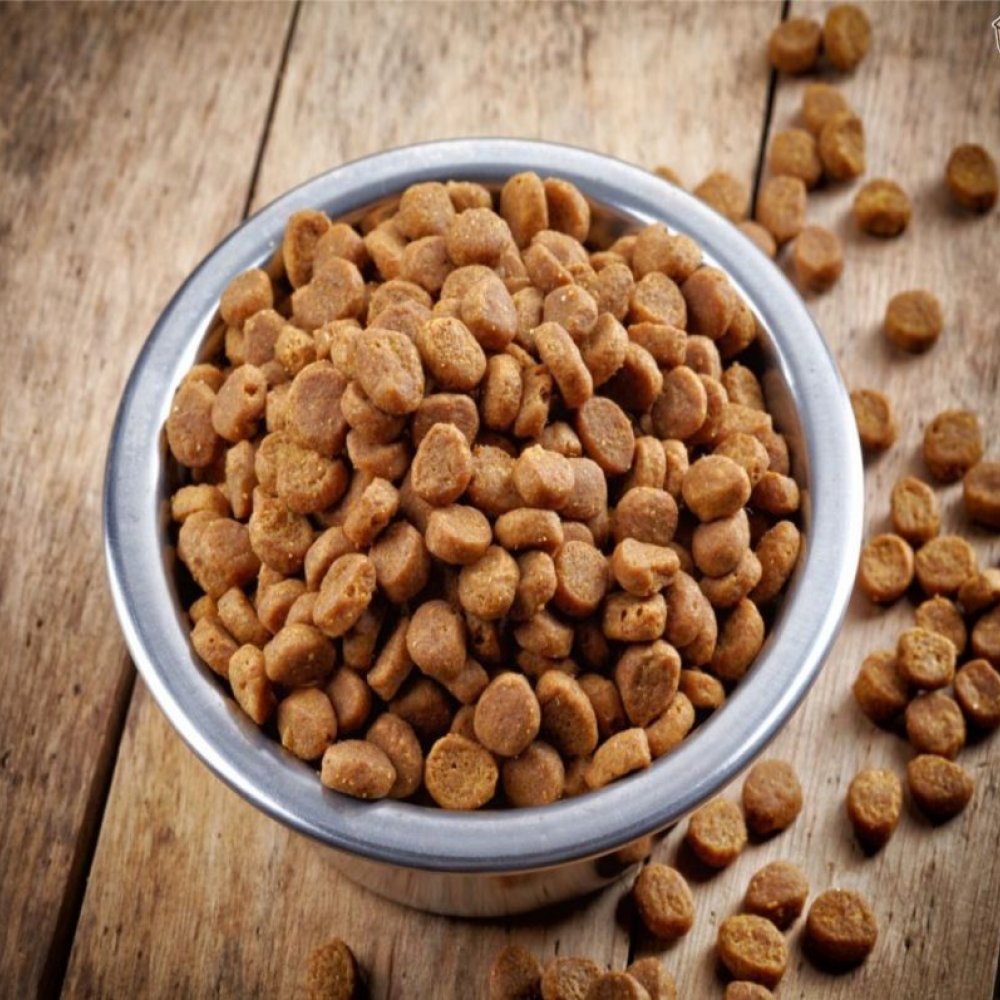 ff-deleita-premium-x-1-kg