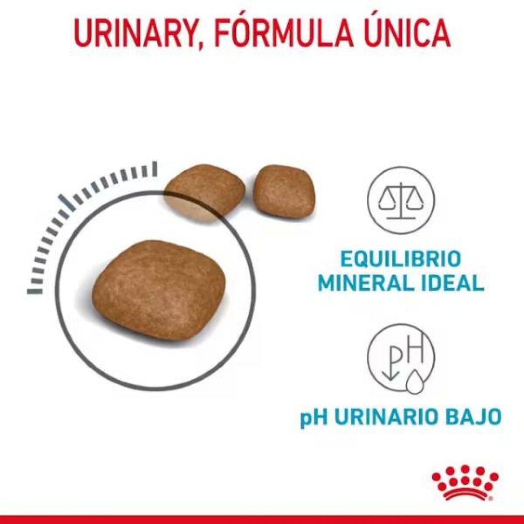 urinary-care-gato-15-kg