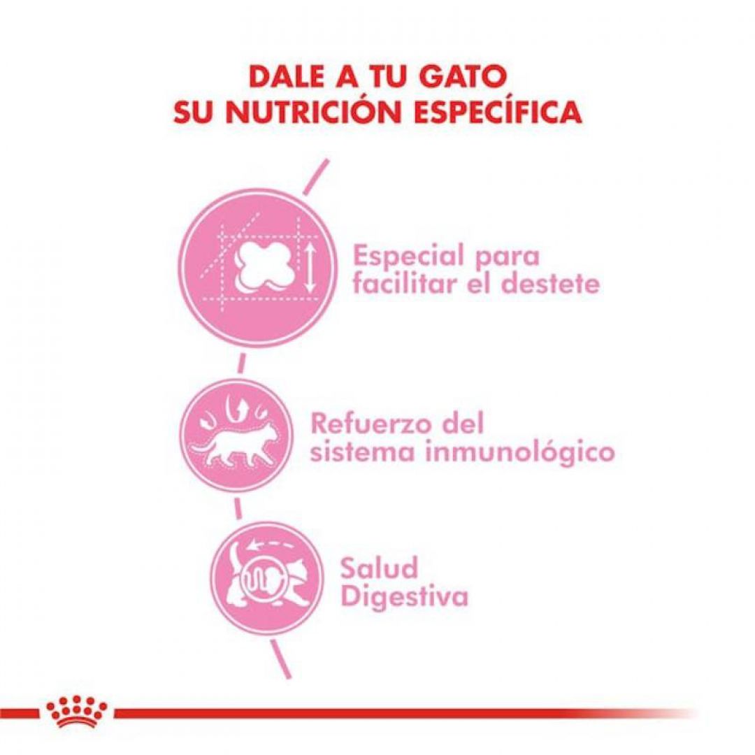 mother-babycat-400-gr