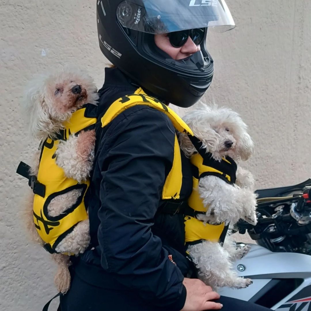 mochila-pperros-chunis-l