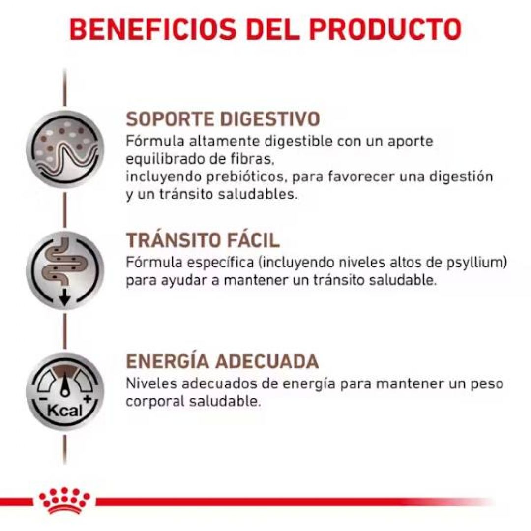 fibre-response-gato-2-kg