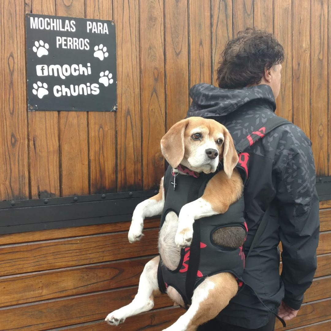 mochila-pperros-chunis-xxl