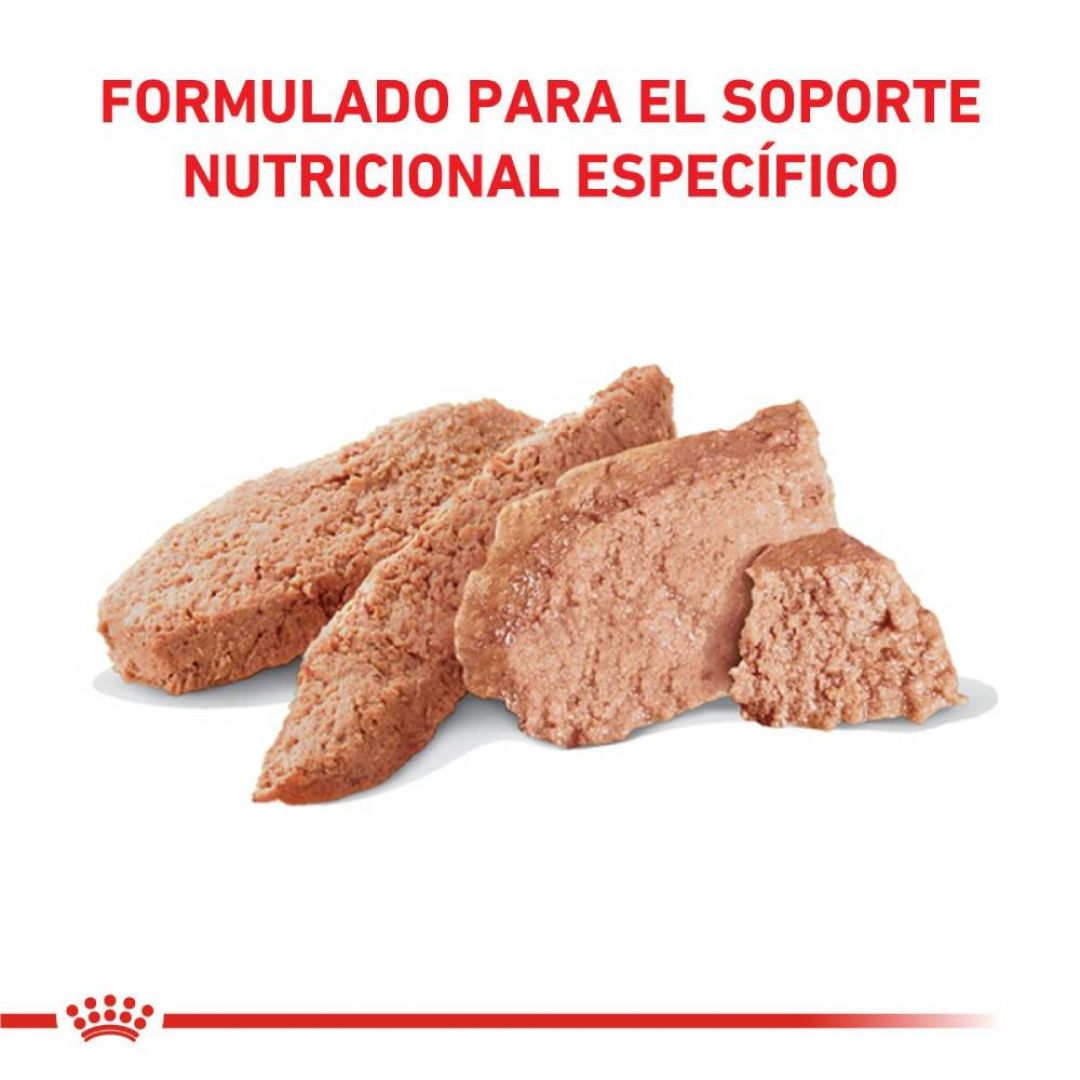 urinary-so-dog-lata-200-gr