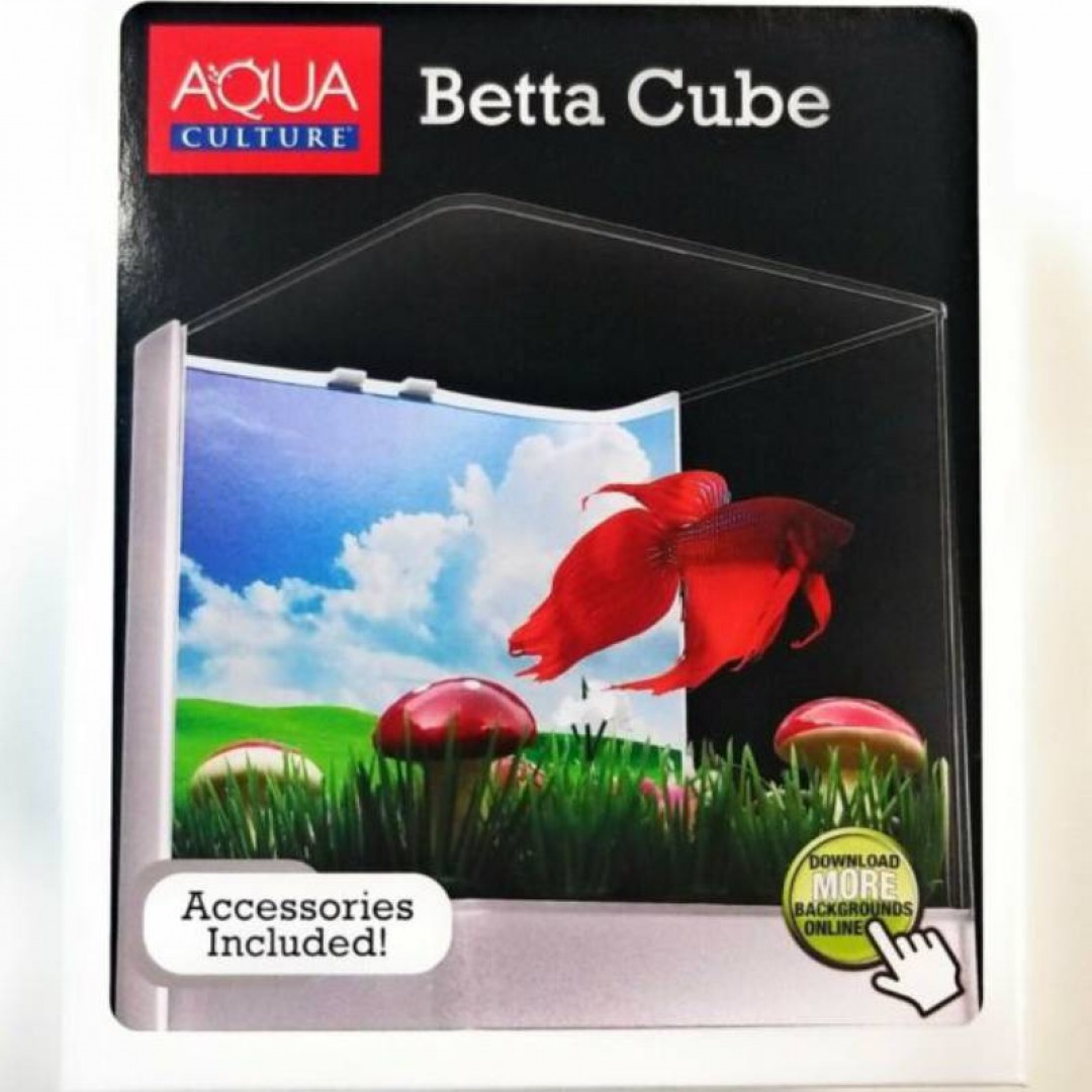 betta-cube-tetra