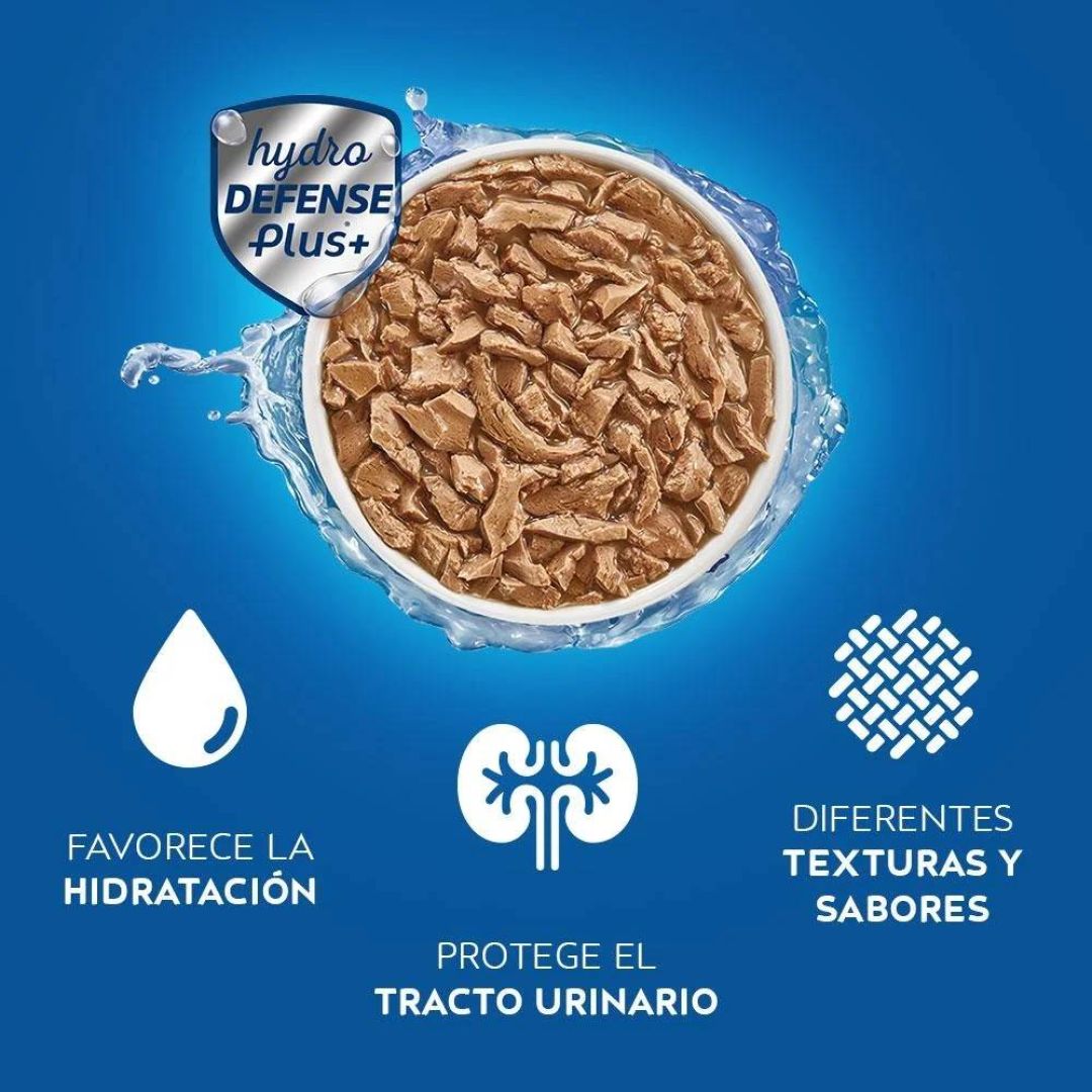 cat-chow-pouch-ad-pollo-85-gr