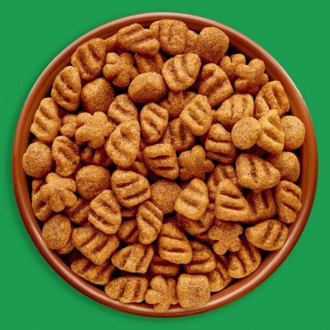 ff-dog-chow-ad-mp-x-1-kg