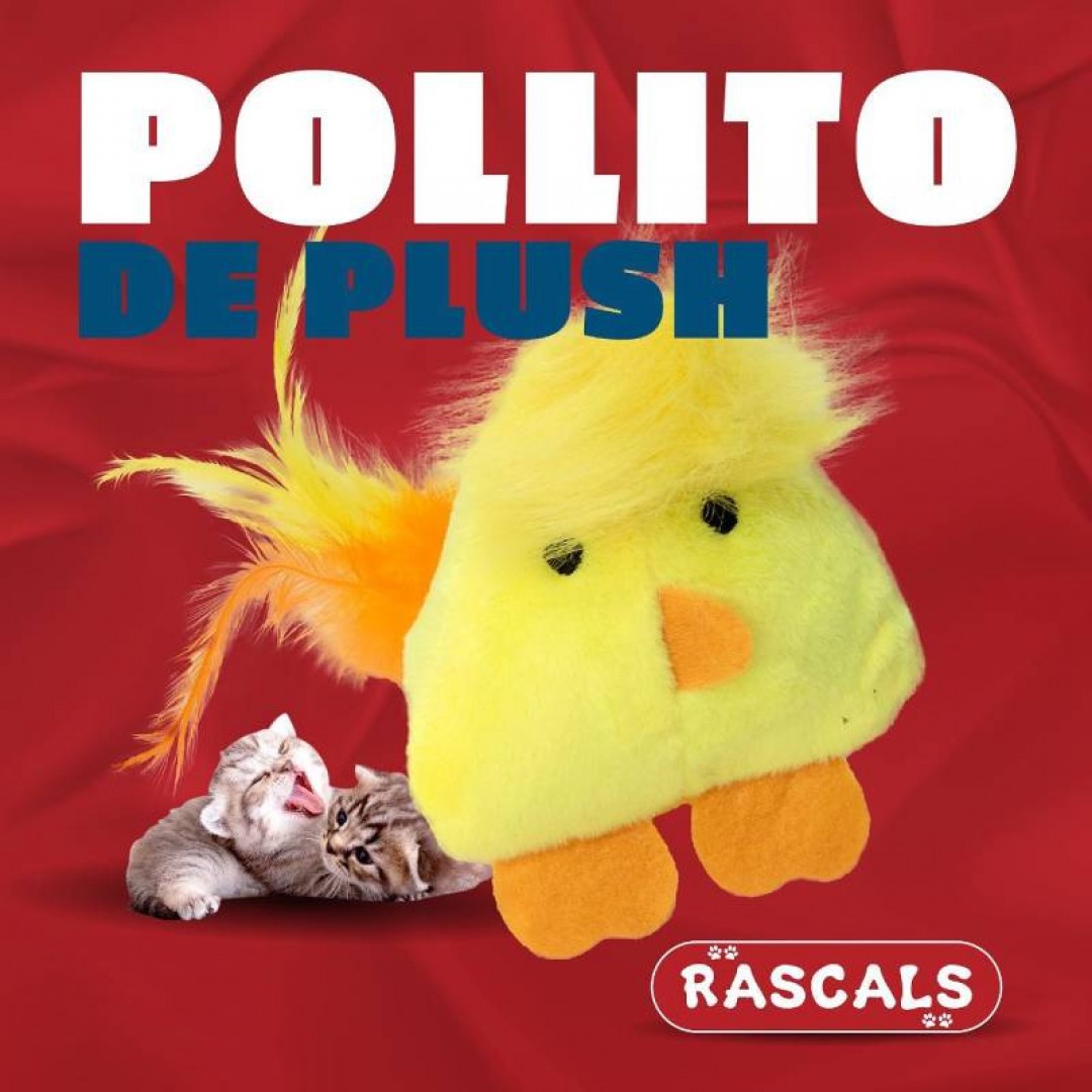 pollito-pgato-amarillo-108761