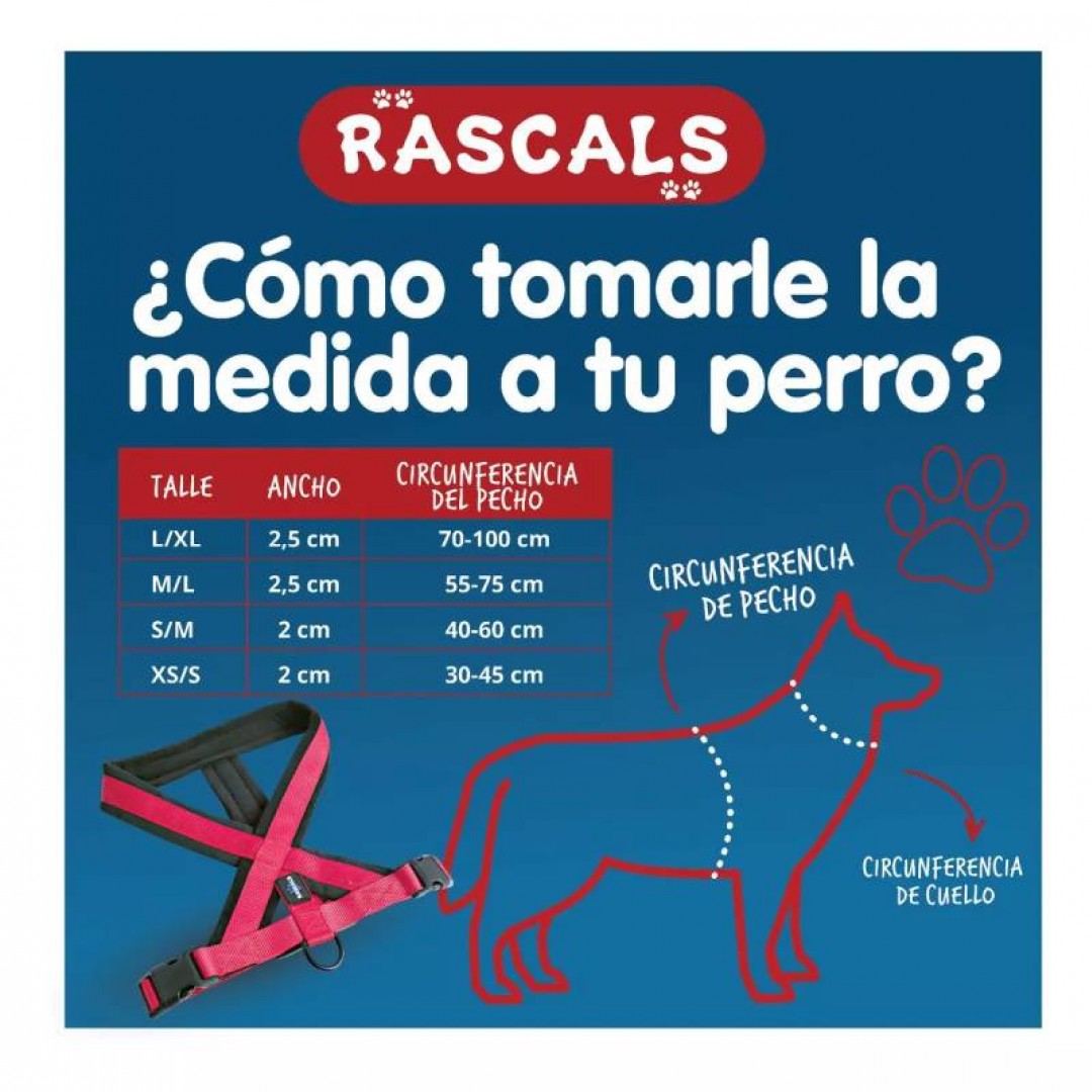 arnes-perro-premium-acolchado-xs-s-rojo