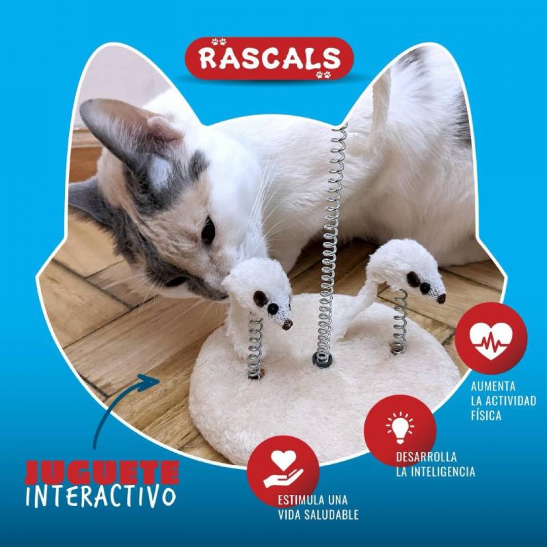 juguete-interactivo-gatos-3-ratones-42881