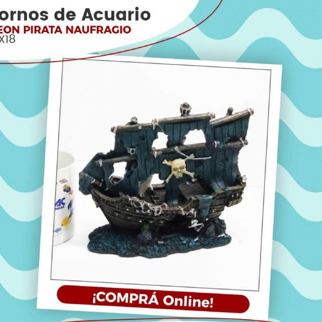 galeon-pirata-naufragio-small