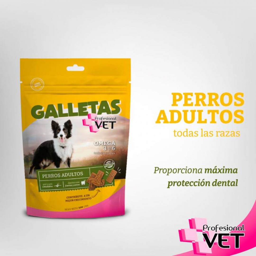 profesional-vet-galletas-omega-3-y-6-x-300-gr