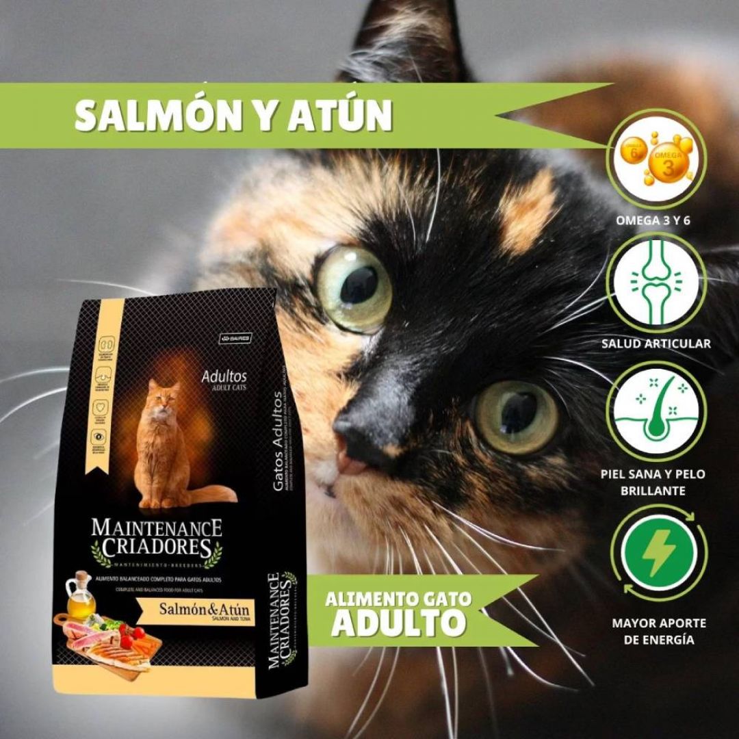 maintenance-criadores-gato-15-kg