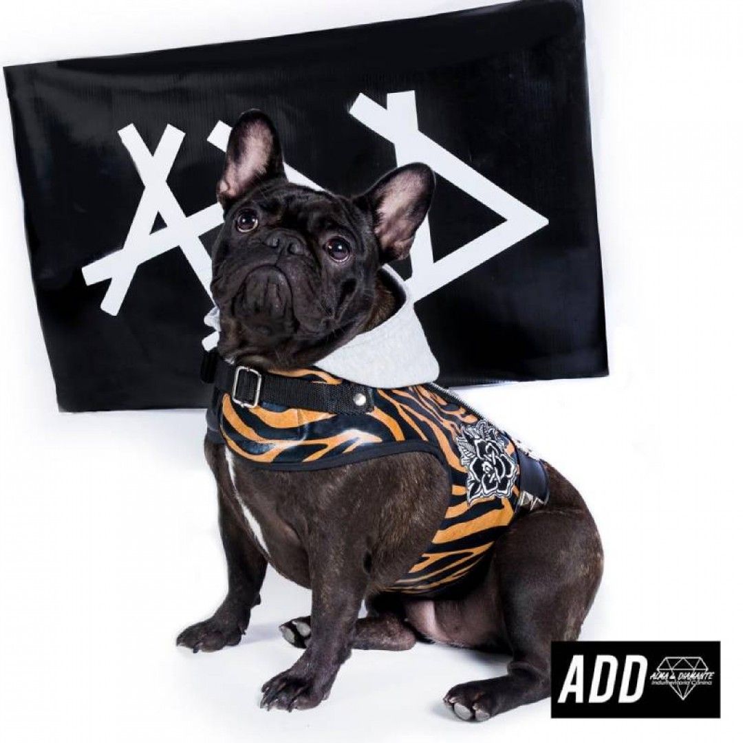 arnes-crop-rock-print-t3