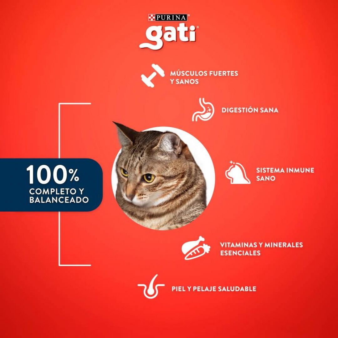 gati-pescado-csalmon-153-kg