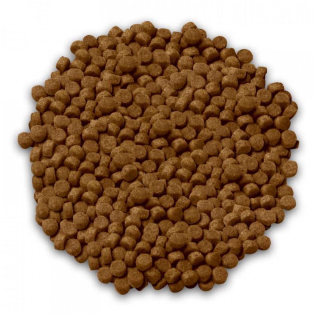 ff-estampa-plus-ad-rp-x-3-kg