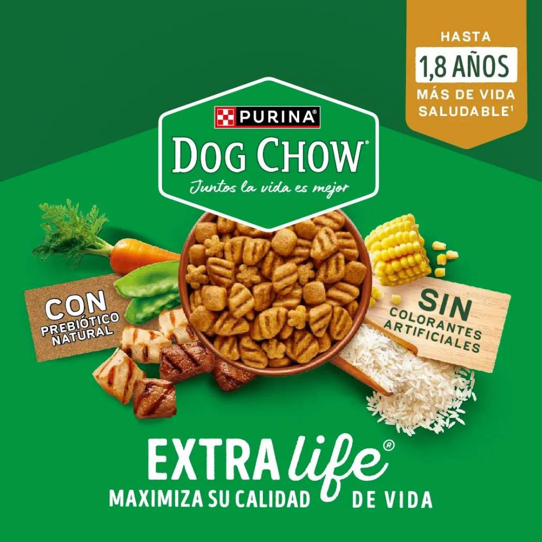 dog-chow-ad-mp-scolor-8-kg