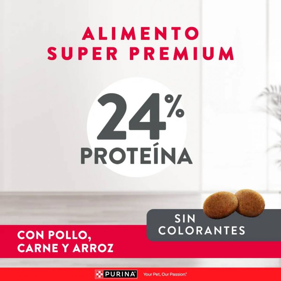 excellent-ad-mg-3-kg
