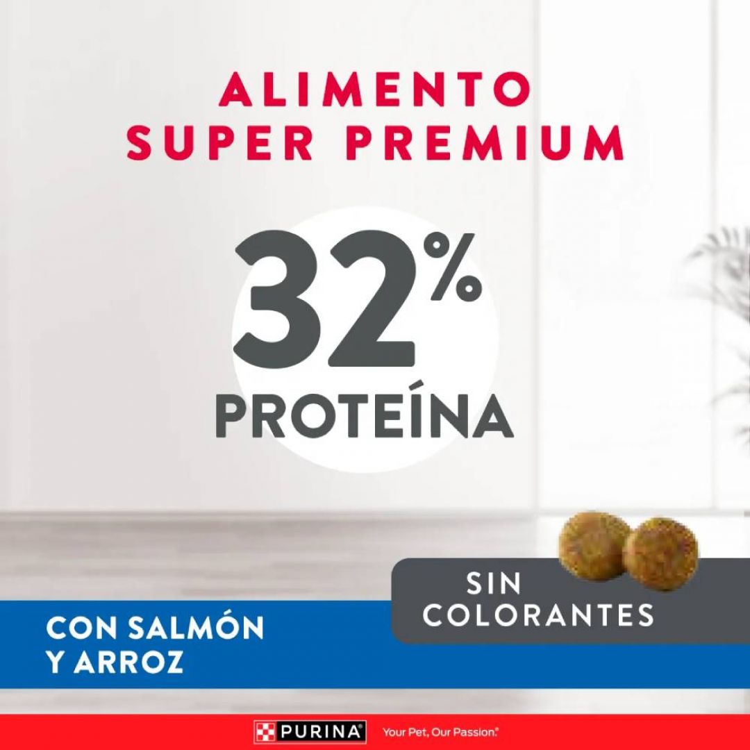 excellent-gato-skin-care-75-kg