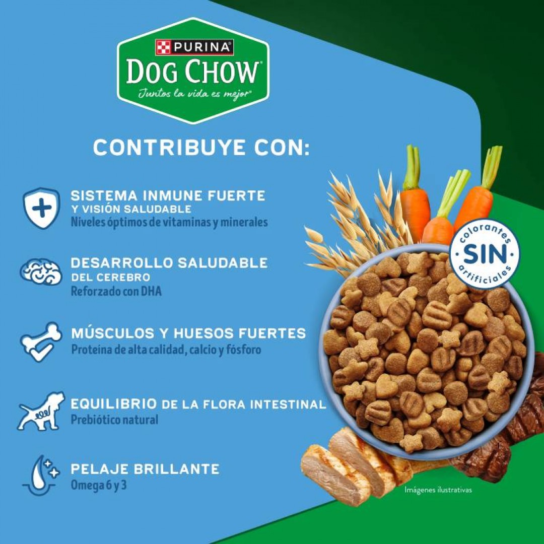 dog-chow-cachorro-mg-gran-comienzo-21-kg