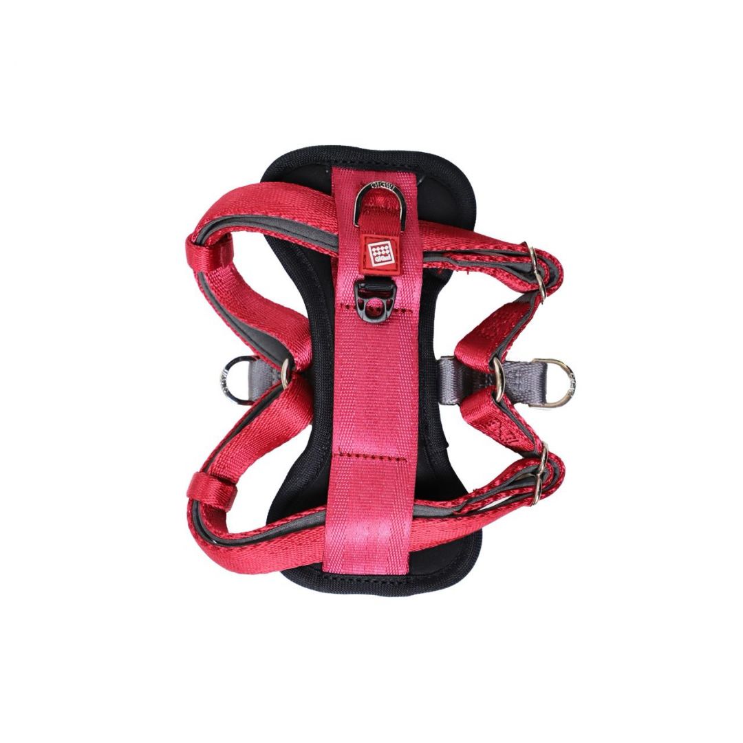 gigwi-harness-premium-line-l