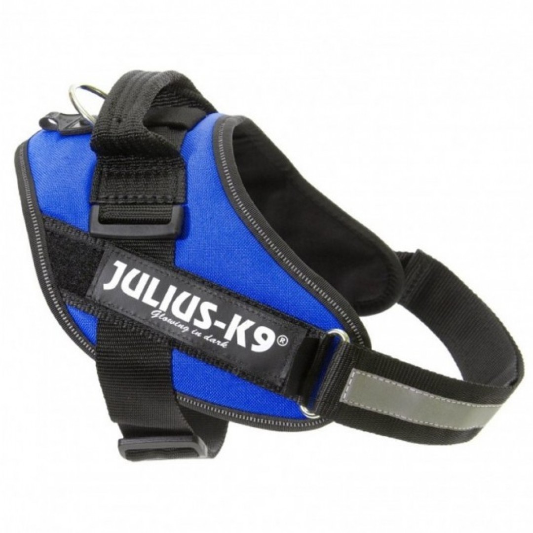 k9-julius-2l-xl-71-9650-azul
