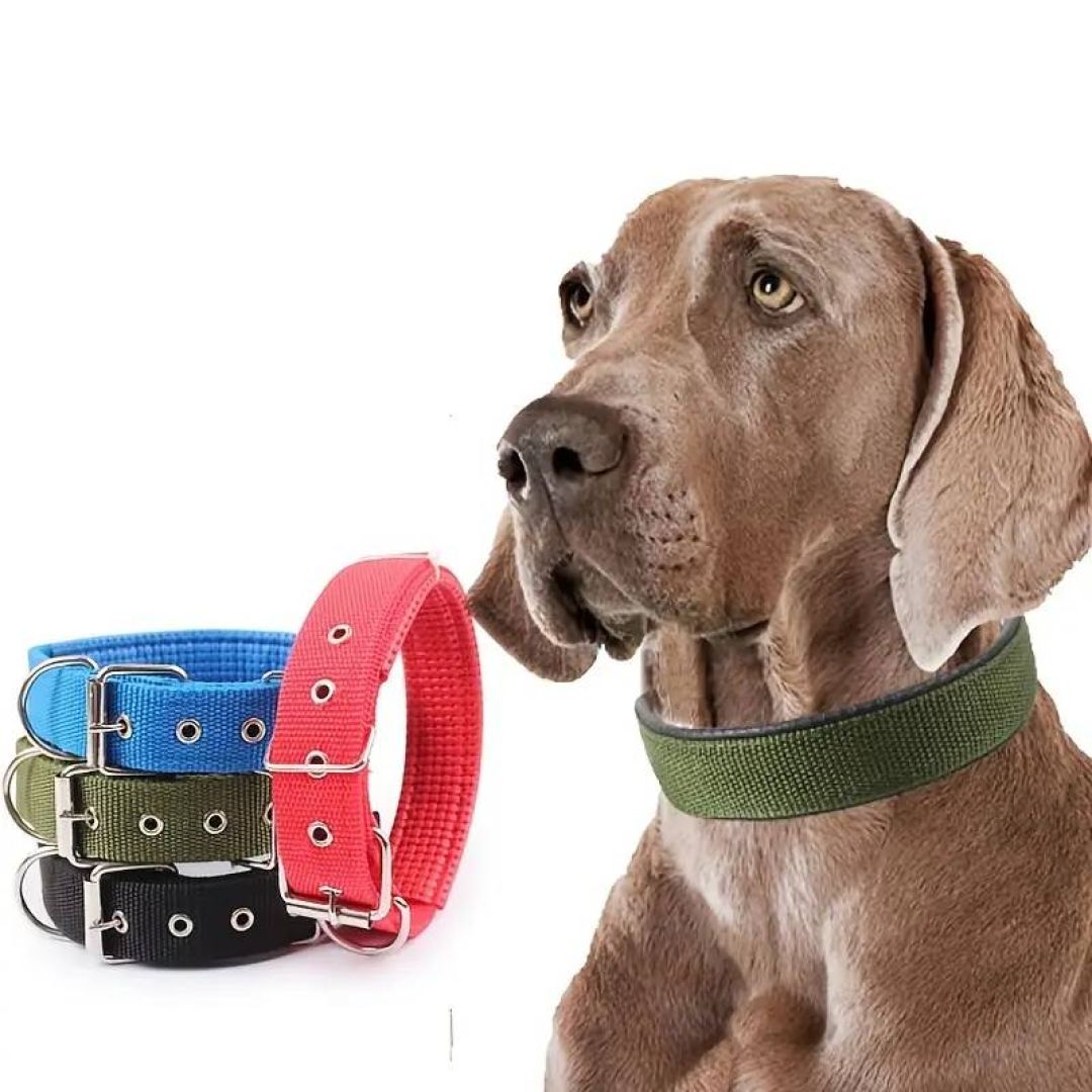 collar-liso-aym-25x55