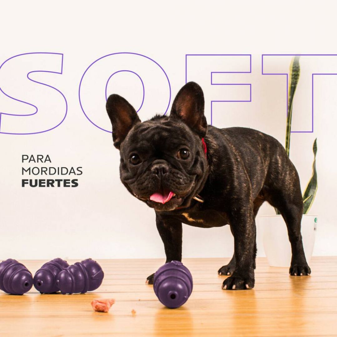 glotoni-rellenable-s-soft-tonipets