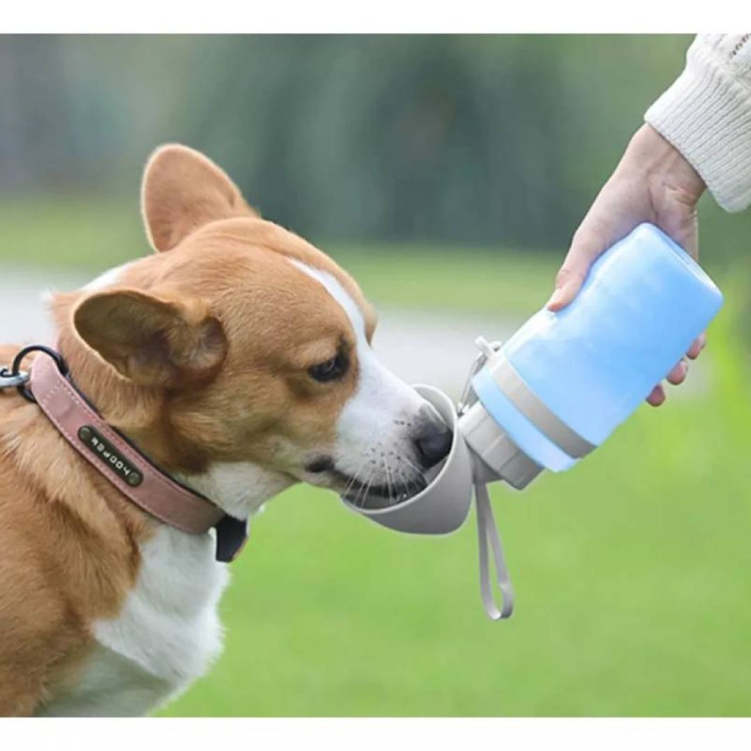 botella-agua-portatil-550-ml