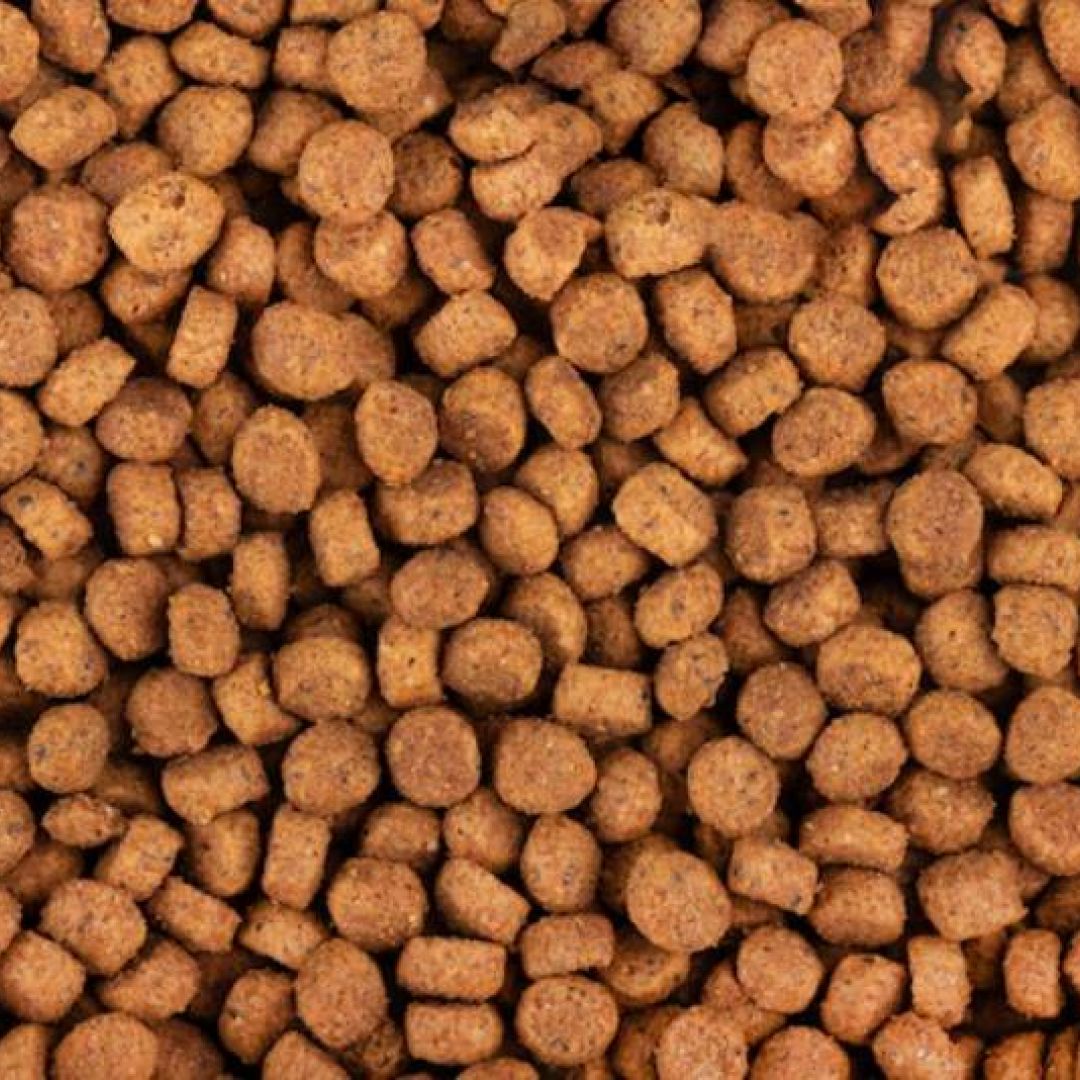 ff-upper-crock-kitten-1-kg