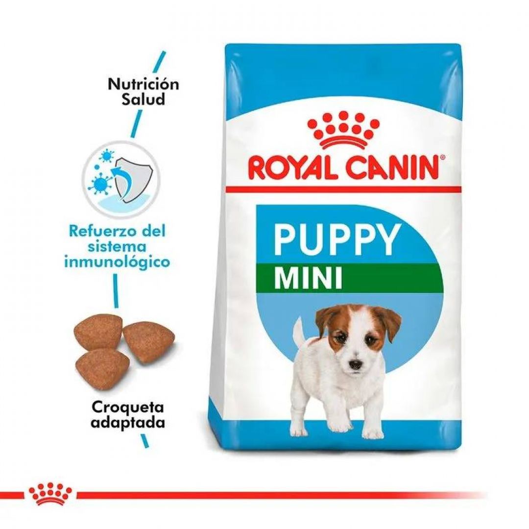 mini-puppy-1-kg