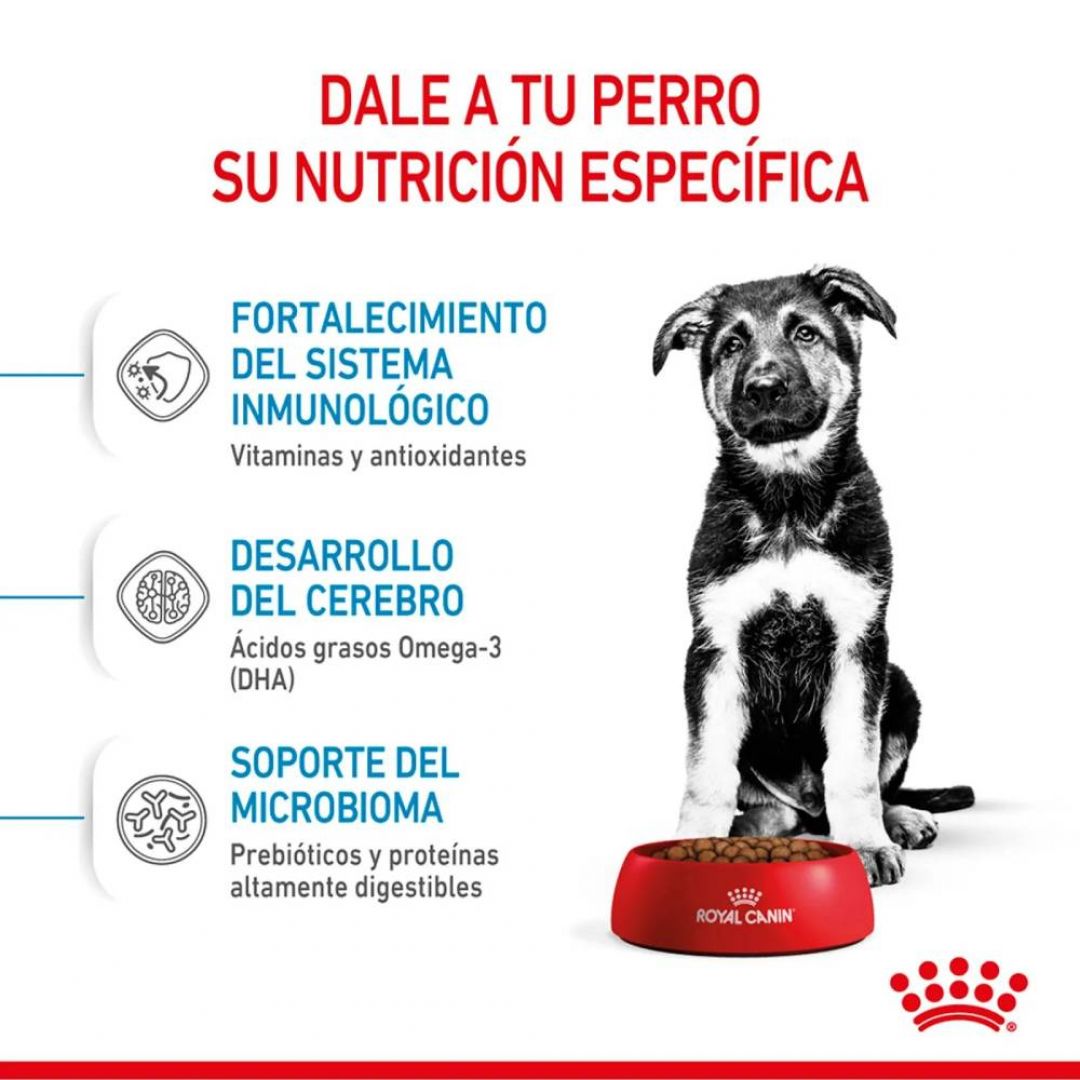 maxi-puppy-15-kg
