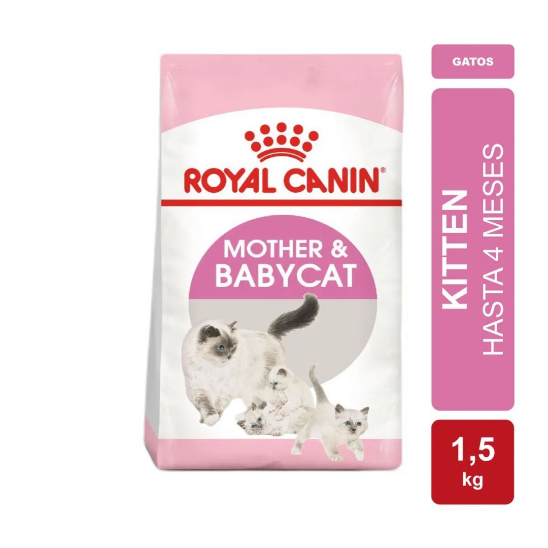 mother-babycat-15-kg