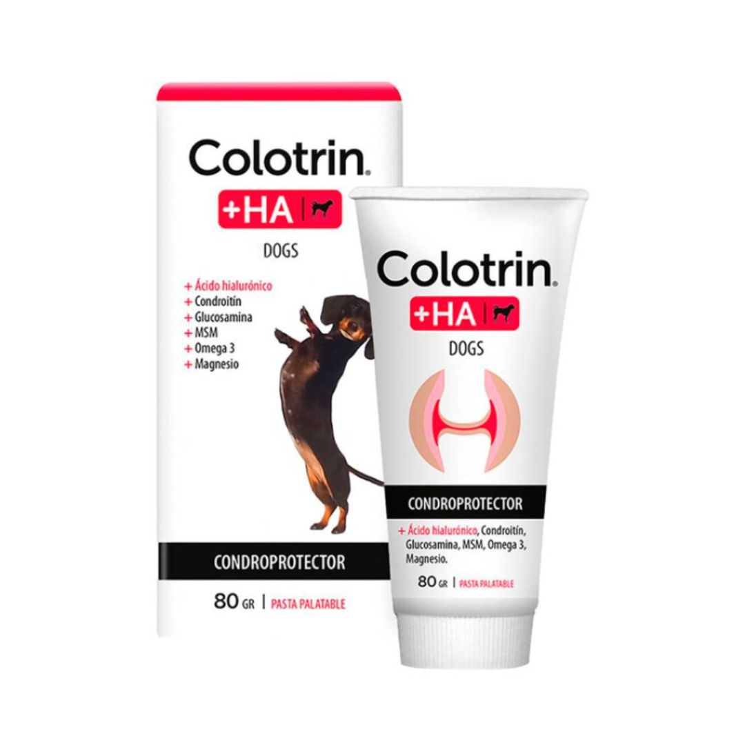 colotrin--ha-dog-pasta-x-80-gr