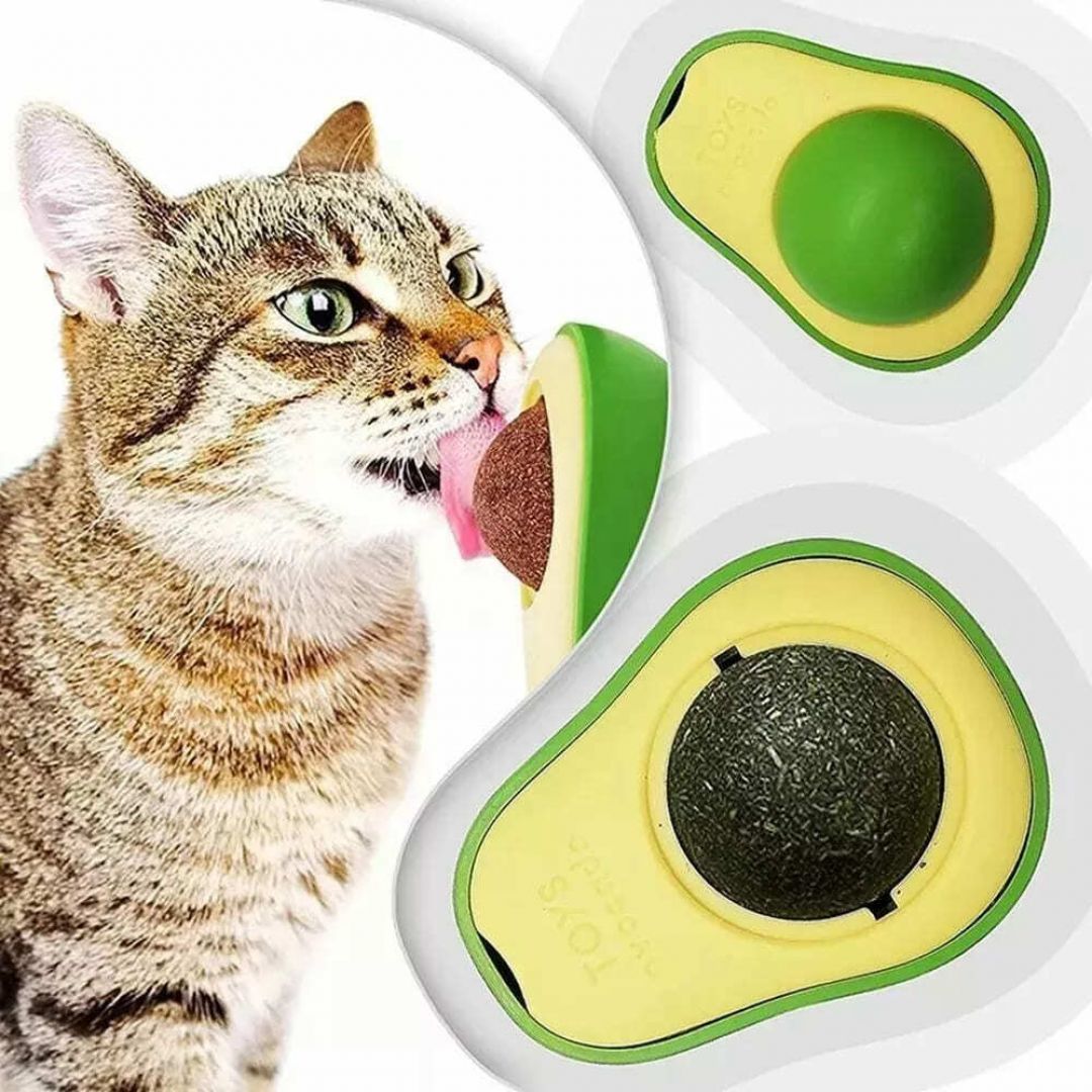 palta-catnip