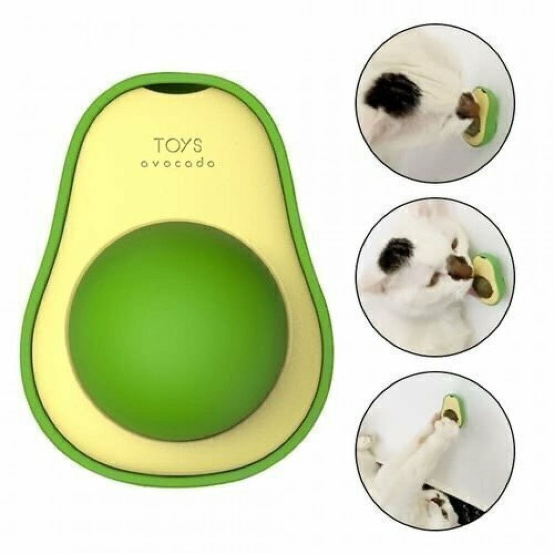 palta-catnip