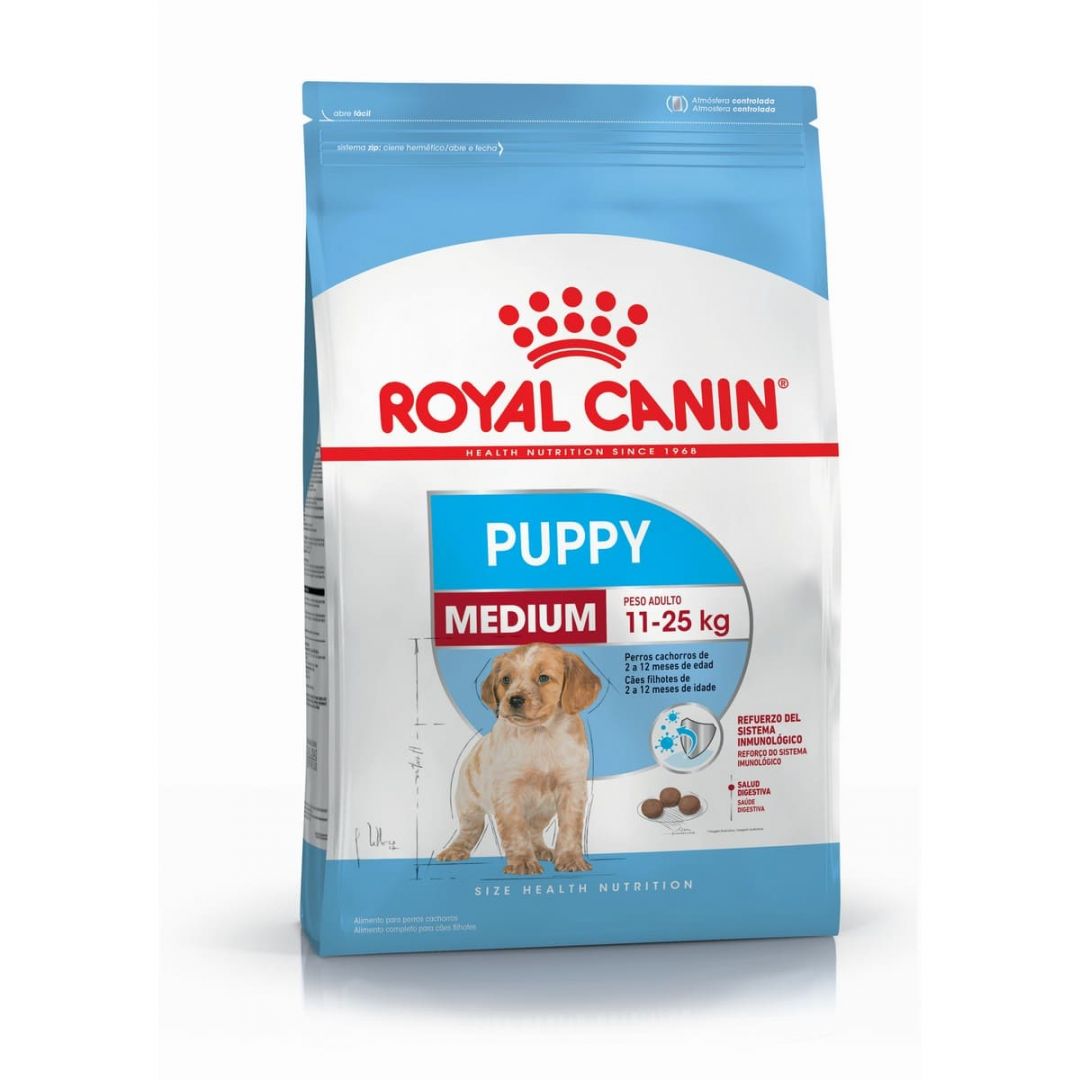 medium-puppy-3-kg