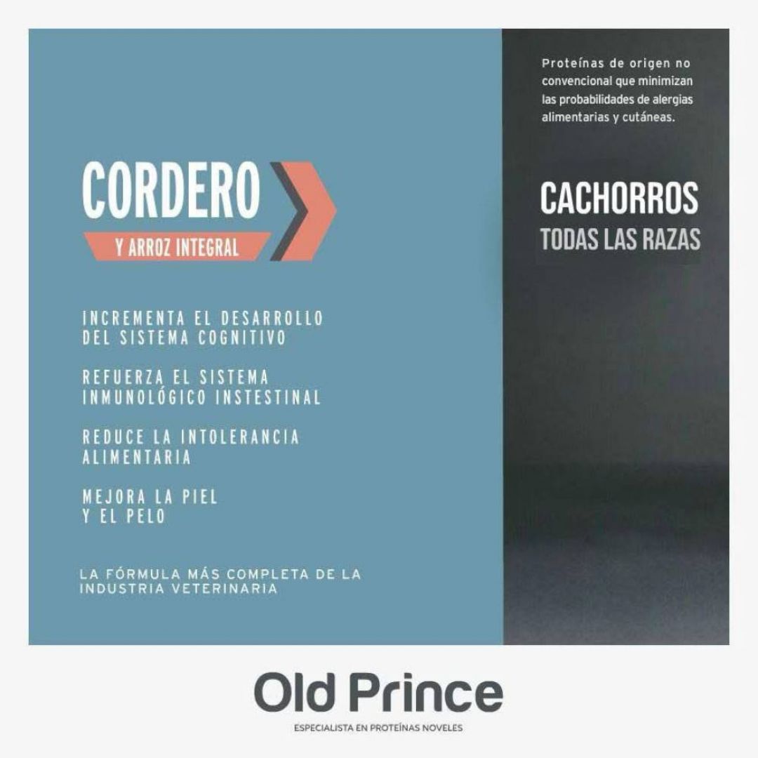 ff-old-prince-novel-c-y-a-cachorro-x-3-kg