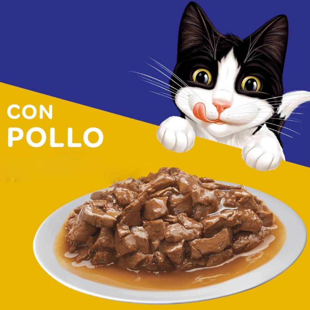 felix-pouch-pollo-85-gr