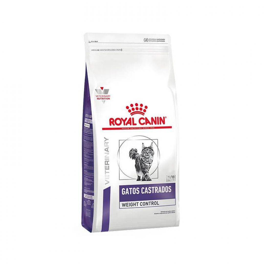 gatos-castrados-3-kg