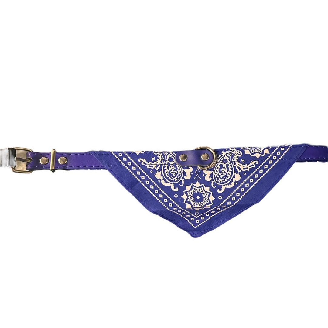 collar-gato-cpanuelo