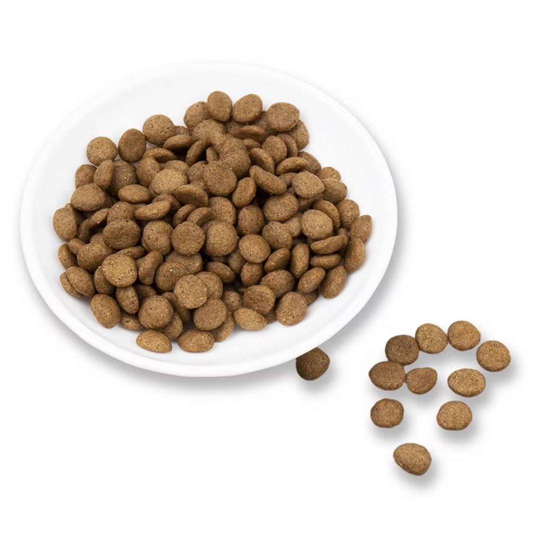 ff-bonelo-cachorro-x-3-kg