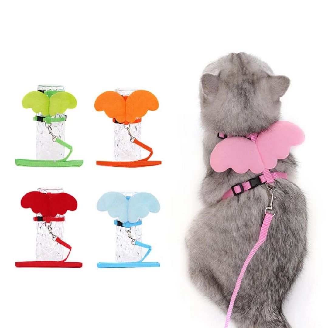 arnes-gato-blister-calas-bomeipet-23224
